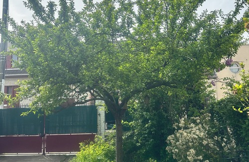 Colombes House | ✨ PRIME VILLA: 5 Double Beds + Garden – Near PARIS, BOURGET & STADE DE FRANCE ✨
