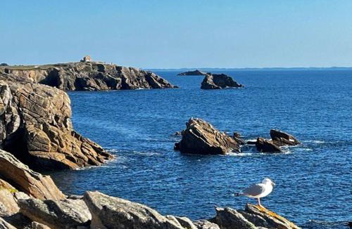 Quiberon Apartment | Quiberon - Studio 2 Pers - Vue Mer - Animaux Acceptés - Parking - FR-1-478-93