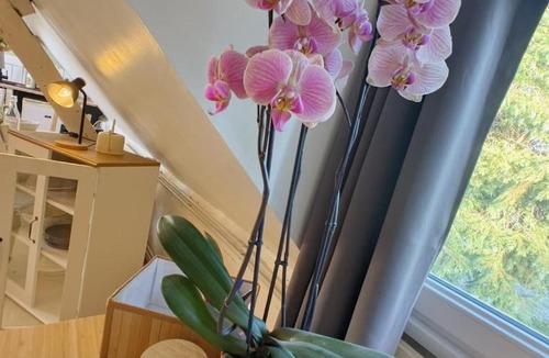 Grosley-sur-Risle Apartment | Quiet Riverside Apartment
