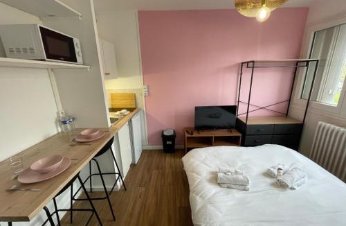 Le Chemin Vert Apartment | Roza, Studio proche centre ville