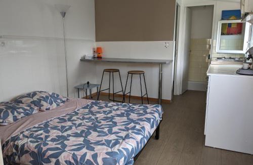 Miroir - Batignolles Bed & Breakfast | Studio meublé indépendant de 19 M2 chez l'habitant proche circuit des 24H du Mans