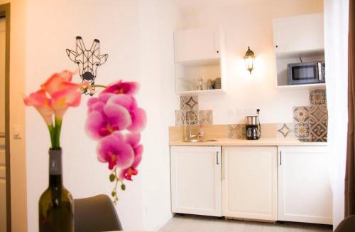 Saint-Aignan Apartment | Studio Rose