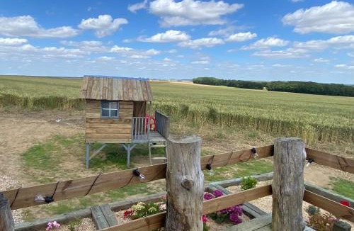 Digny House | Tiny House