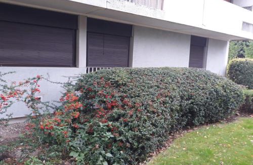Saint-Cyr-l'Ecole Apartment | Versailles and Paris 20 min Family apartment 3 bedrooms 4 beds