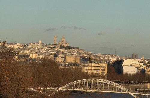 Passy Apartment | View on Eiffel Tower Seine and Main Monuments