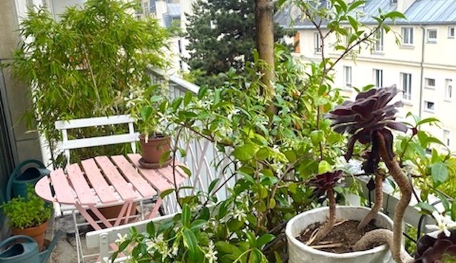 Apartment/Flat - Paris