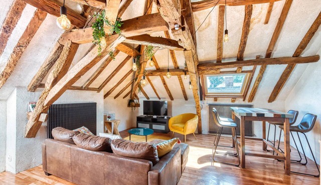 Apartment Under the Roof