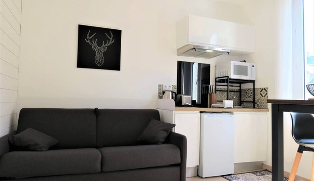 Beautiful studio with WIFI 400m from the beach in the center of TREGASTEL