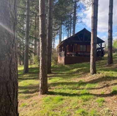 Chalet avec étang privé proche zoo de la Flèche et circuit des 24H du Mans
