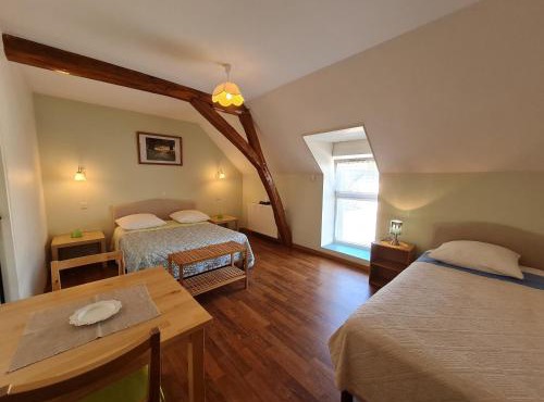 Chambres spacieuses près de Beaugency, petit-déjeuner inclus - FR-1-590-455