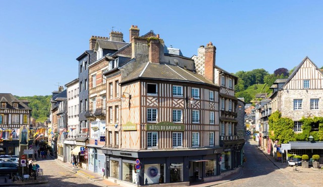 Hotel Le Dauphin
