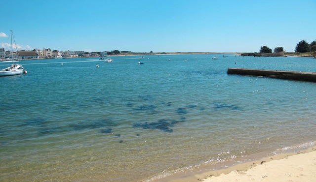 Lovely apartment in villa for 4 people with WIFI, TV, terrace and pets allowed