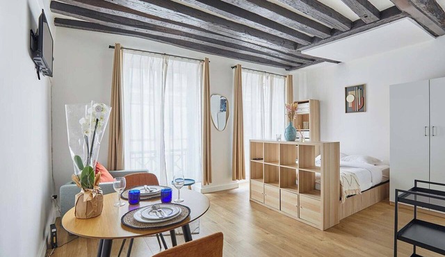 Lovely Studio - Center of Paris