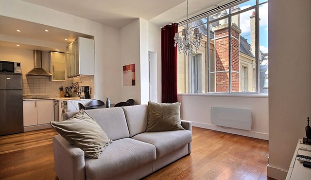 Luxury Champs Elysees Studio Loft