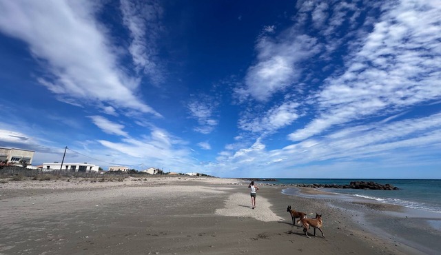 Maison Front de Mer Aresquiers | Direct beach access | 4 bedrooms