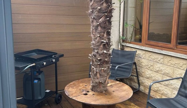 Palm Studio.