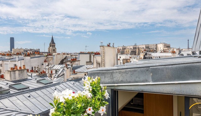 Par014 - Exceptional Penthouse in Saint-Germain