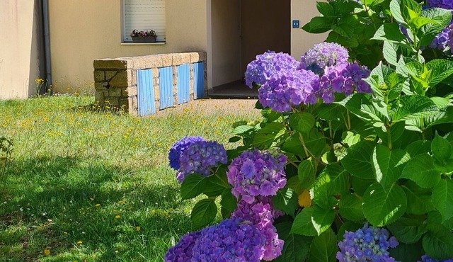 Pleasant, comfortable rental for 4/5 people, 300 m from the beach