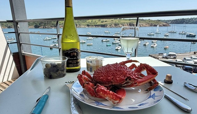 Port Manec'h, Full sea view, great comfort