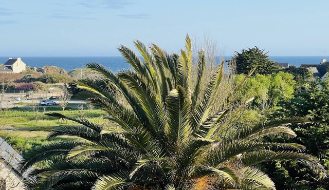 Propriété - Jardin Exotique en Bordure de L'océan