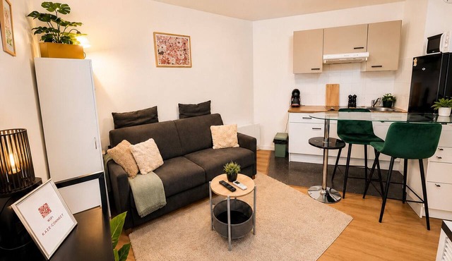 Spacious, Cozy, and Elegant Studio - Near Paris