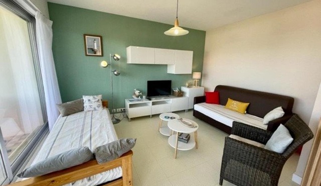 Studio rénové, balcon, animaux admis, parking - FR-1-478-1
