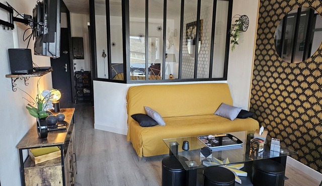 Très bel Appartement Lumineux et Bien Décoré Avec Aperçu mer