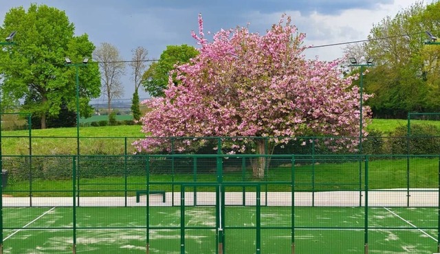 Villa La Bruyère - Padel, jacuzzi, sauna - 15 pers
