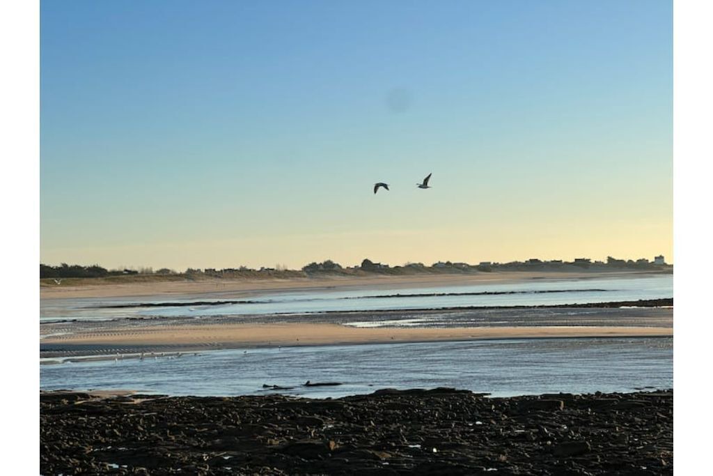 Photo of Others in Plobannalec-Lesconil