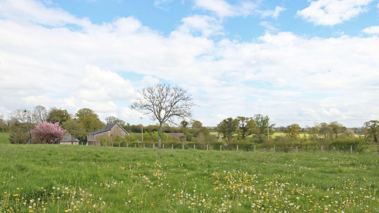 Photo of Outdoor in St-Denis-le-Vetu