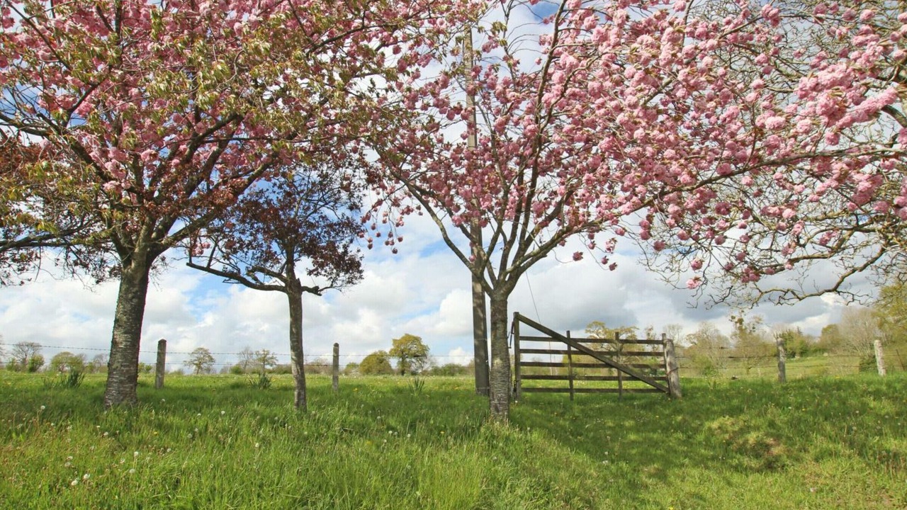 Photo of Outdoor in St-Denis-le-Vetu