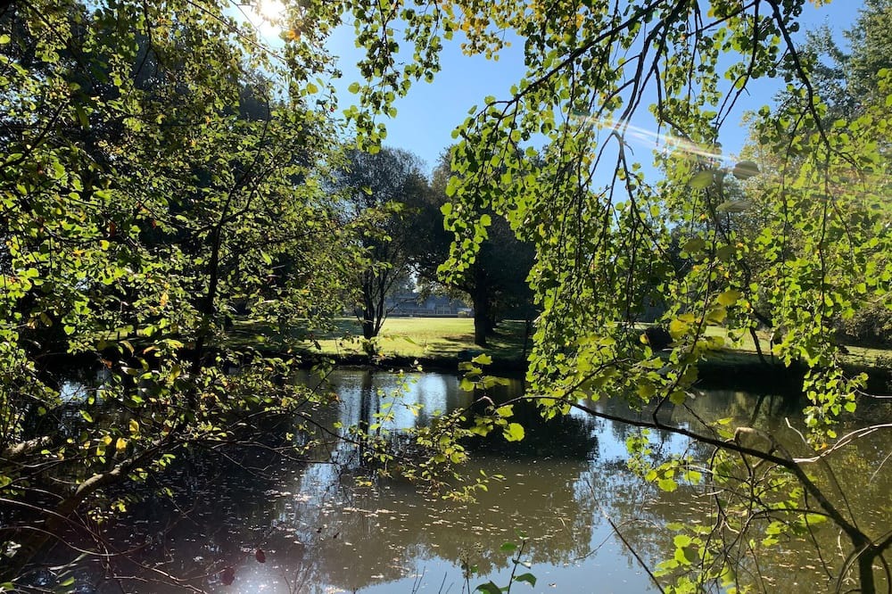 Photo of Outdoor in Nort-sur-Erdre