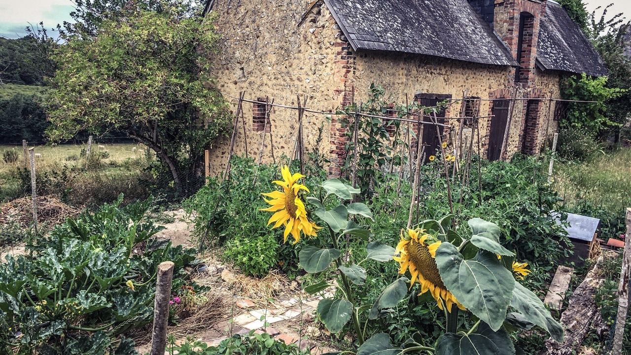 Photo of Outdoor in Valennes