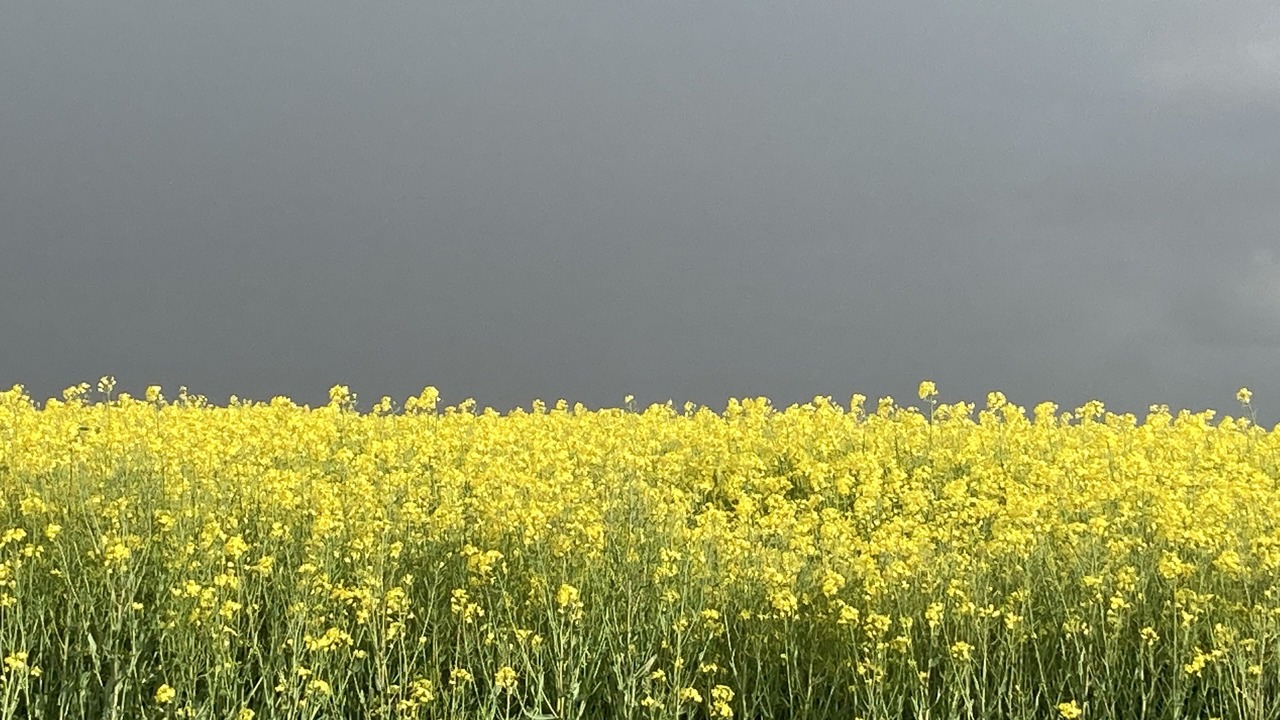 Photo of Outdoor in Boissey