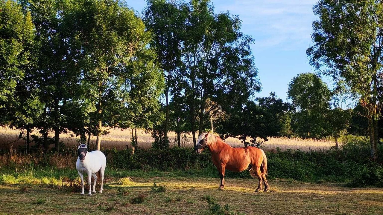 Photo of Outdoor in Saint-Amand