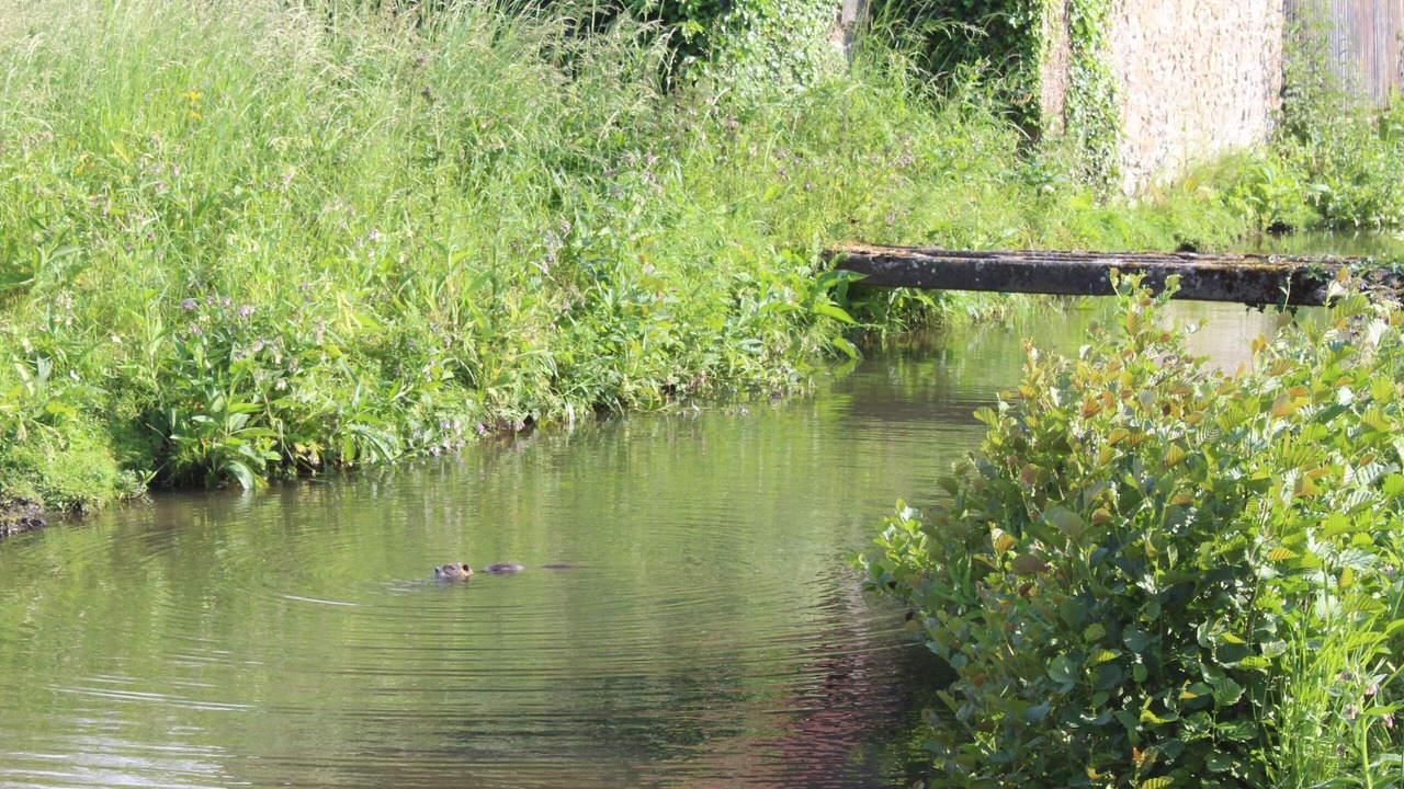 Photo of Outdoor in Muneville-le-Bingard