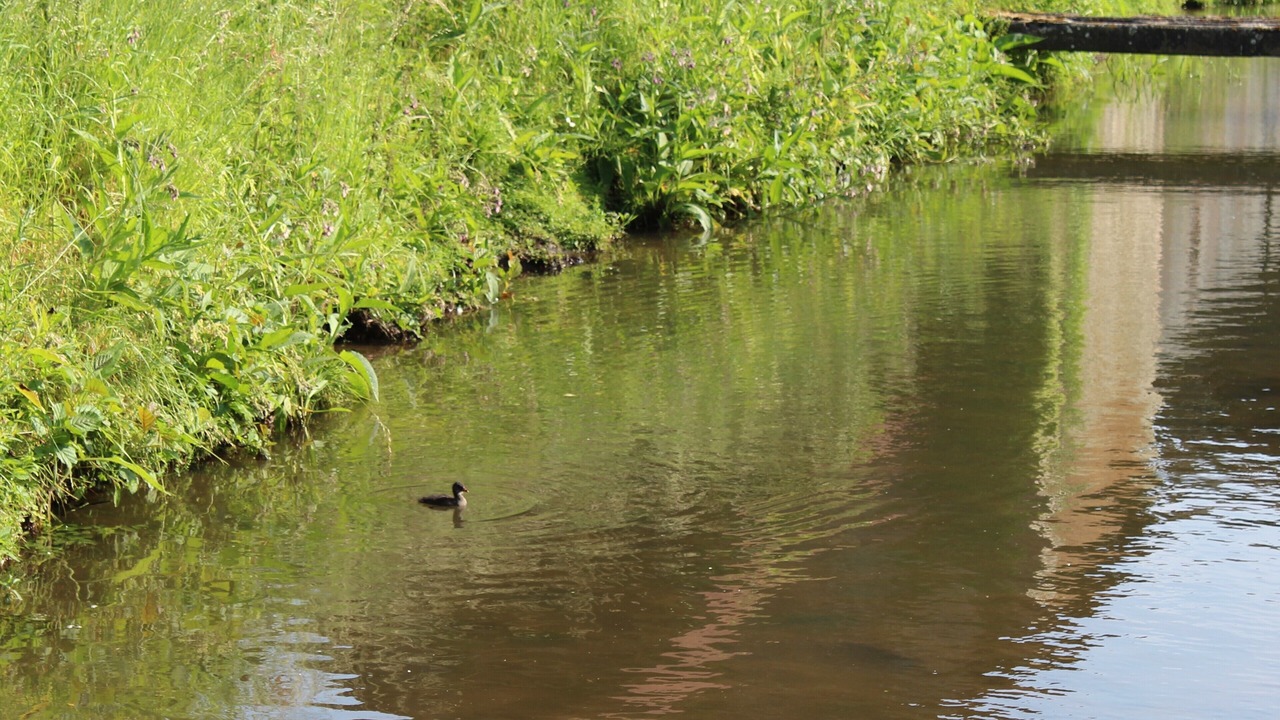 Photo of Outdoor in Muneville-le-Bingard