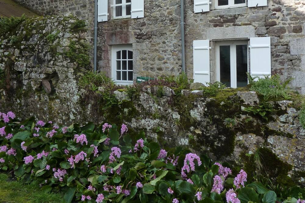Photo of Outdoor in Regnezville-sur-Mer