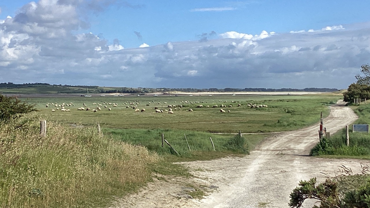 Photo of Outdoor in Blainville-sur-Mer