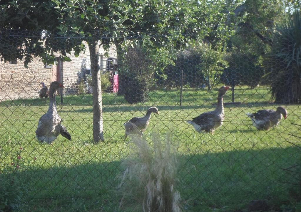 Photo of Outdoor in Aucey-la-Plaine