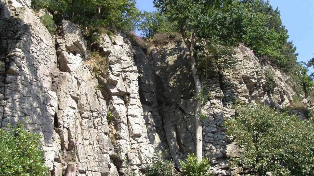 Photo of Others in Bagnoles-de-l'Orne