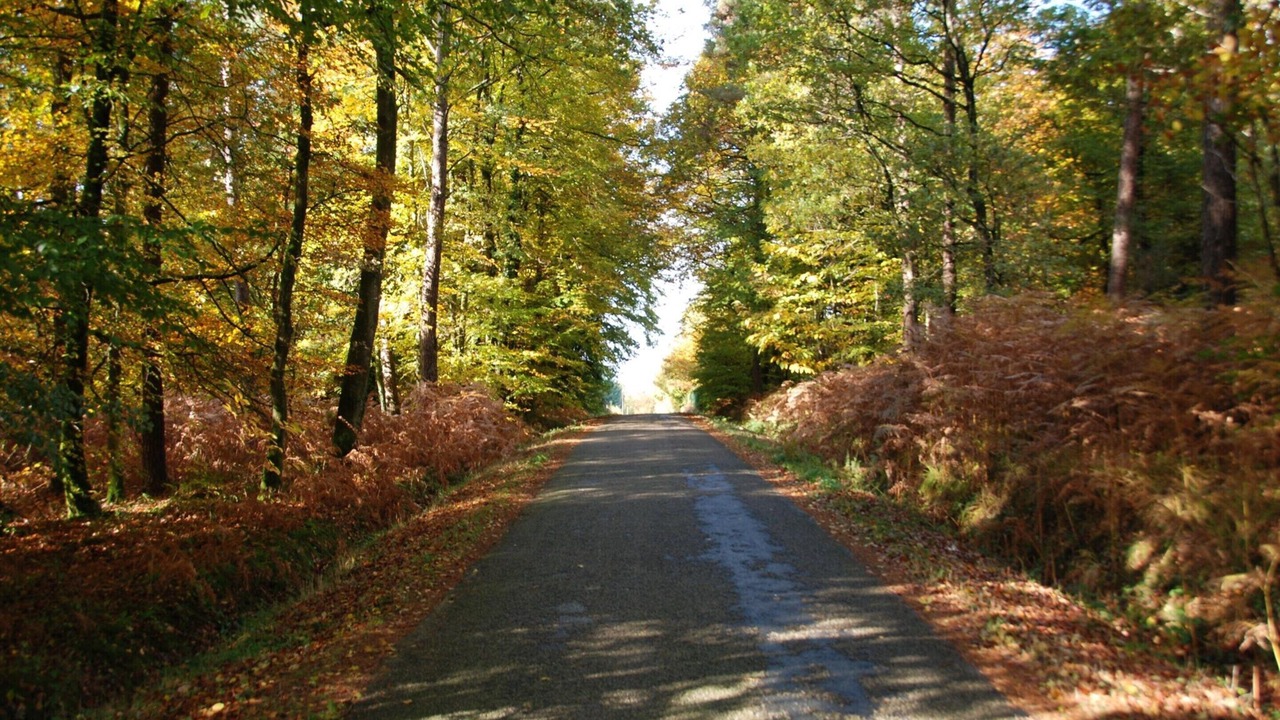 Photo of Others in Bagnoles-de-l'Orne