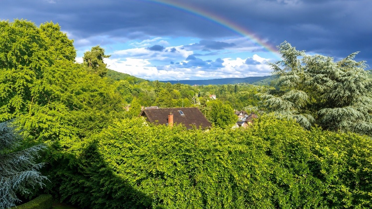 Photo of Others in Saint-Remy-les-Chevreuse