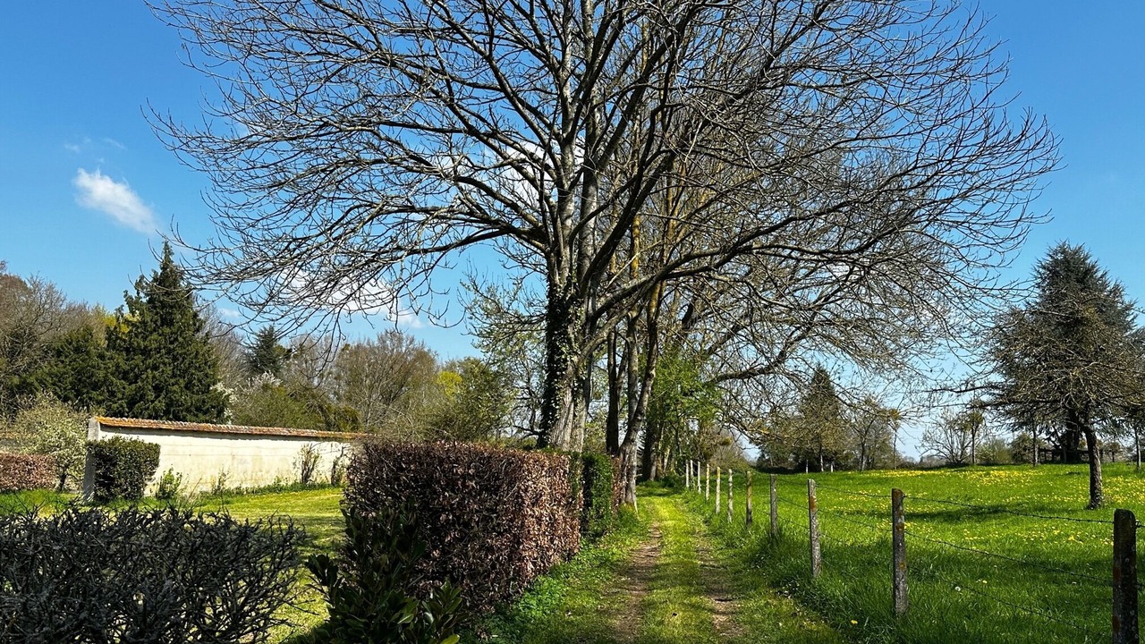 Photo of Outdoor in La Hoguette