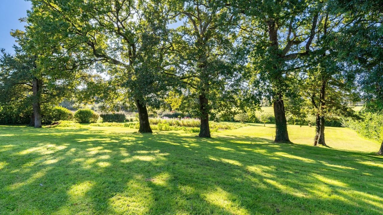 Photo of Outdoor in Saint-Just