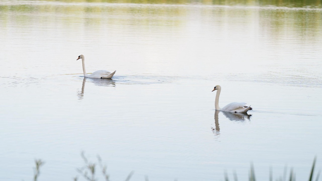 Photo of Others in Ezy-sur-Eure