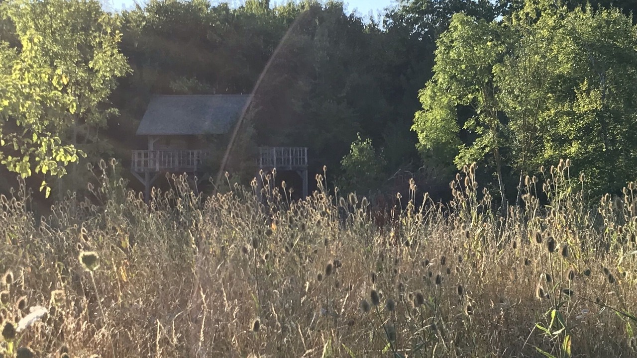 Photo of Outdoor in Essay