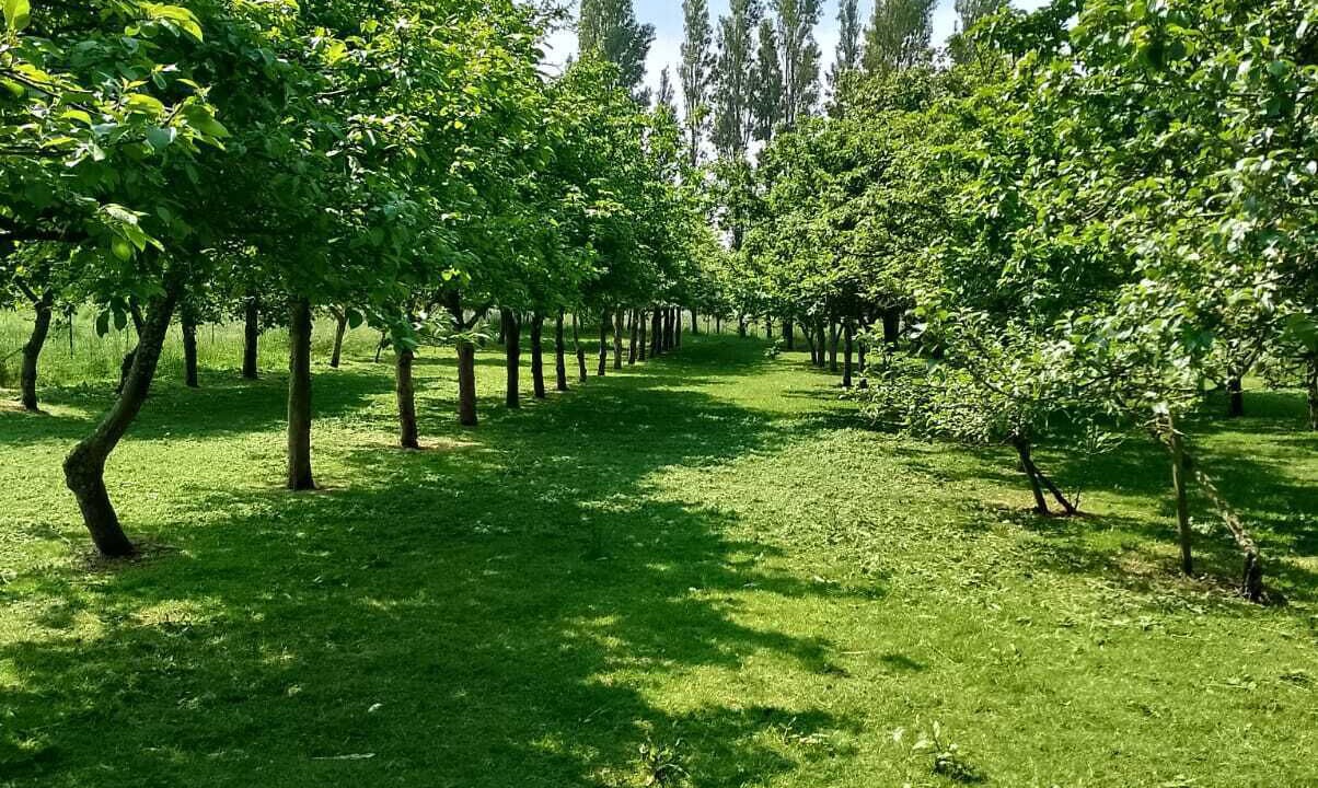 Photo of Outdoor in Le Planet
