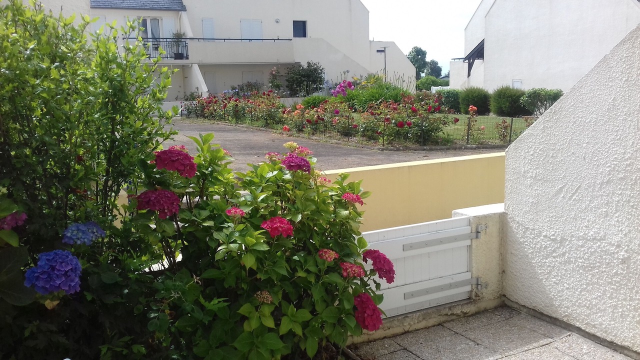Photo of Outdoor in Saint-Nic