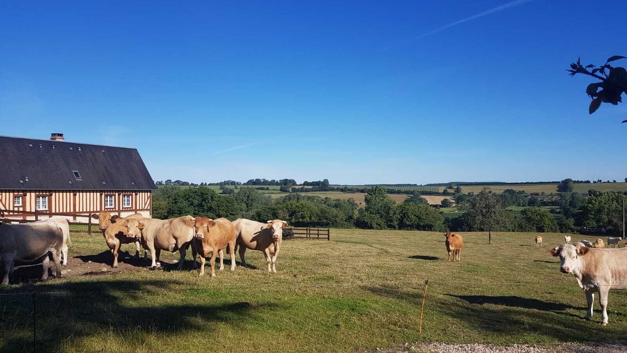 Photo of Outdoor in Champosoult